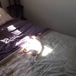 Meet your Posher, Vonda